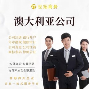 海外公司注册与商务代理服务 企业全球化发展的关键一步